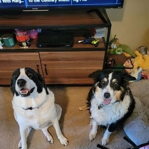 Meet your Posher, Bobbi